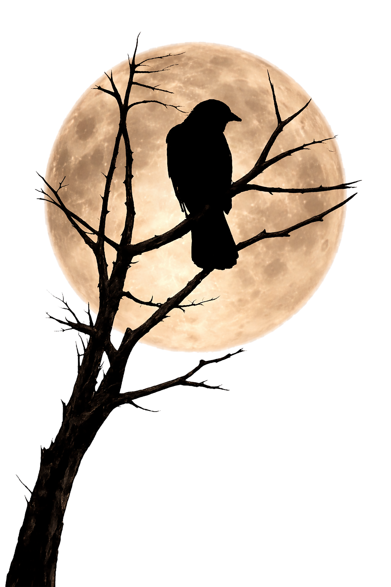 Crow before the moon