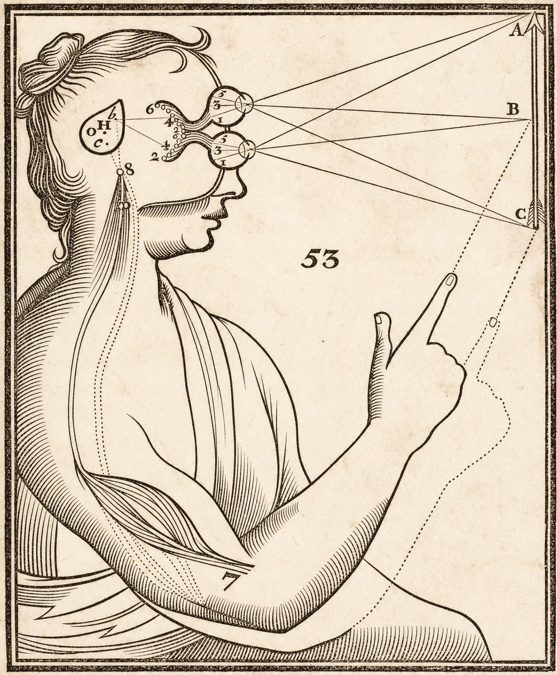 The Lines Between Looking and Understanding