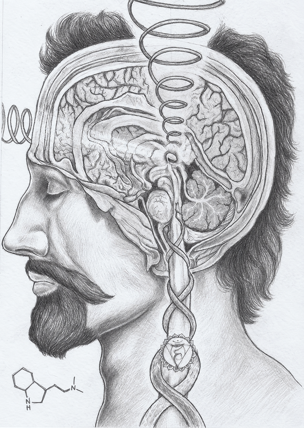 The Quiet Profile and the Unfolding Spiral