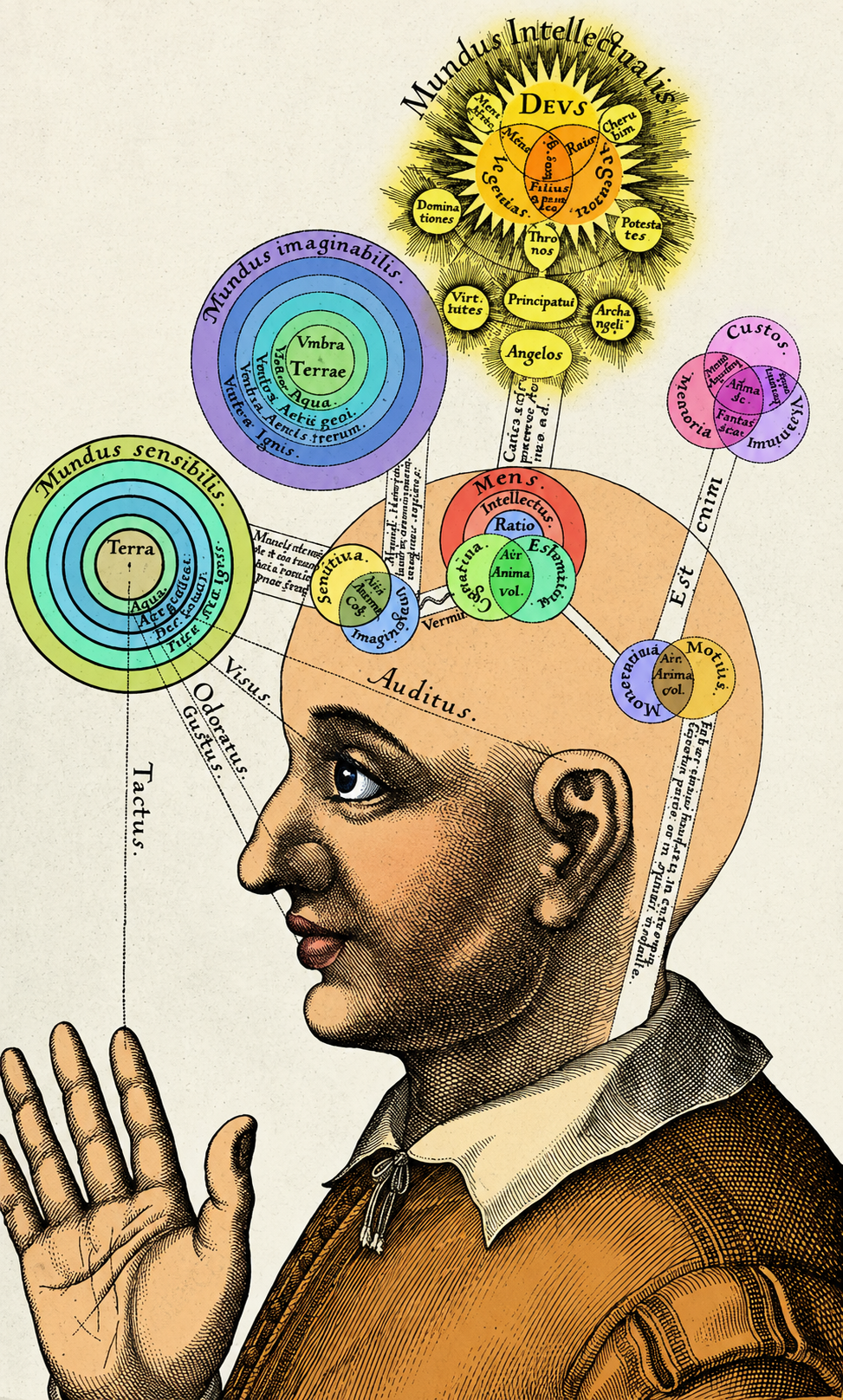 The Worlds We Arrange Within the Mind
