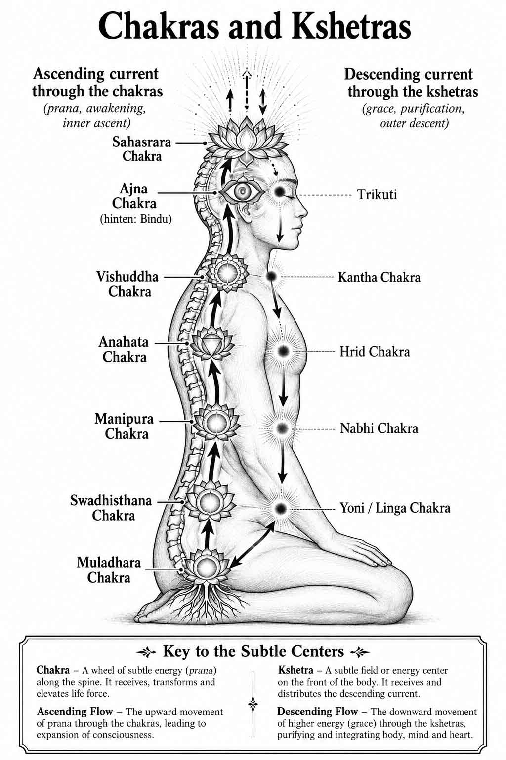 The Chakras and Kshetras and the Ancient Yogic Path of Energy and Consciousness